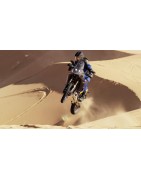 Yamaha Ténéré 700 World Raid